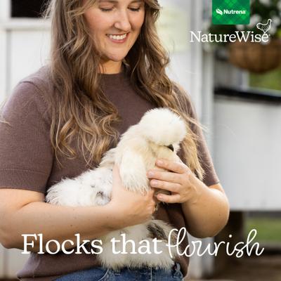 Show full view: Nutrena 22% Protein Silkie & Ornamental Layer Clean Crumb Chicken Feed, 30-lb bag slide 7 of 11