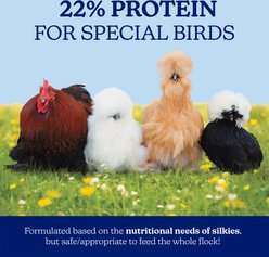 Nutrena 22% Protein Silkie & Ornamental Layer Clean Crumb Chicken Feed, 30-lb bag slide 2 of 8