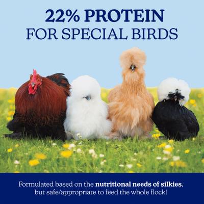 Show full view: Nutrena 22% Protein Silkie & Ornamental Layer Clean Crumb Chicken Feed, 30-lb bag slide 3 of 11