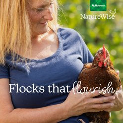 Nutrena NatureWise Oyster Shell Poultry Supplement, 7-lb bag slide 2 of 9