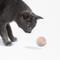 Show in main carousel: Cheerble Ball M3 Automatic Running & Bouncing Cat Ball Toy with Synthetic Fiber Shell, Apricot Beige slide 8 of 9