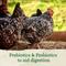 Show in main carousel: Nutrena Hi Pro Chicken 12% Protein Scratch Grains & Protein Pellets, 7-lb bag slide 2 of 9