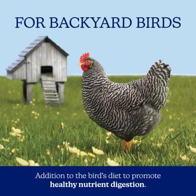 Show full view: Nutrena NatureWise Poultry Grit Crushed Granite Chicken Feed, 7-lb bag slide 3 of 10