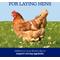Show in main carousel: Nutrena NatureWise Oyster Shell Poultry Supplement, 7-lb bag slide 2 of 8