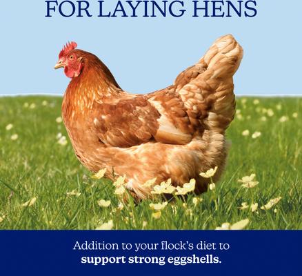 Show full view: Nutrena NatureWise Oyster Shell Poultry Supplement, 7-lb bag slide 2 of 8