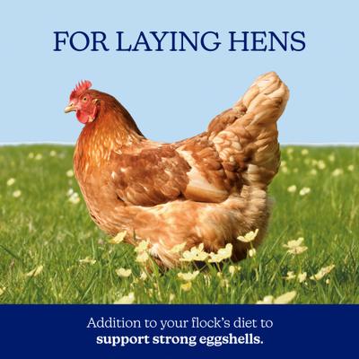 Show full view: Nutrena NatureWise Oyster Shell Poultry Supplement, 7-lb bag slide 3 of 9