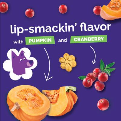 Show full view: Fruitables Pumpkin & Cranberry Flavor Crunchy Dog Treats, 7-oz bag slide 10 of 13