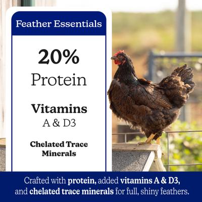 Show full view: Nutrena NatureWise Feather Fixer 20% Protein Pellet Chicken Feed, 40-lb bag slide 4 of 11