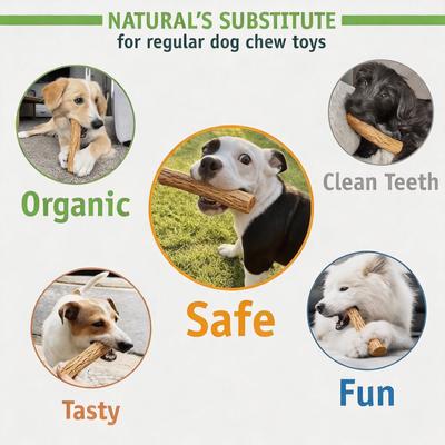 Show full view: allforpaws TIMBERBITZ Coffee Wood Natural Chew Dog Toy, Large slide 6 of 7