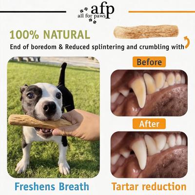 Show full view: allforpaws TIMBERBITZ Coffee Wood Natural Chew Dog Toy, Large slide 4 of 7