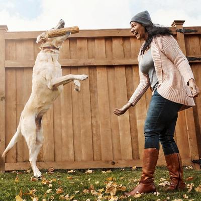 Show full view: allforpaws TIMBERBITZ Coffee Wood Natural Chew Dog Toy, X-Large slide 2 of 8