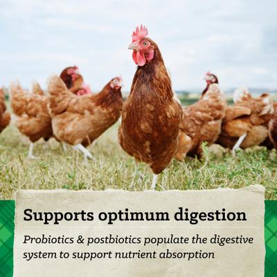 Show full view: Nutrena Hi Pro Chicken 12% Protein Scratch Grains & Protein Pellets Chicken Food, 50-lb bag slide 3 of 9