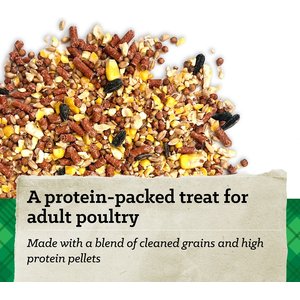 Nutrena Hi Pro Chicken 12% Protein Scratch Grains & Protein Pellets Chicken Food, 50-lb bag