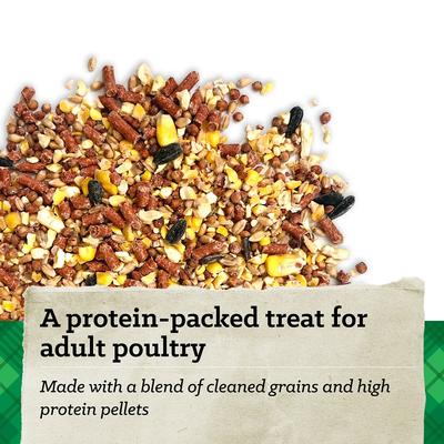 Show full view: Nutrena Hi Pro Chicken 12% Protein Scratch Grains & Protein Pellets Chicken Food, 50-lb bag slide 2 of 9