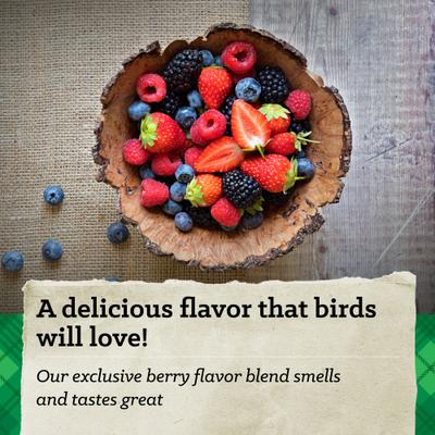 Show full view: Nutrena Hi Pro Chicken 12% Protein Scratch Grains & Protein Pellets Chicken Food, 50-lb bag slide 4 of 9