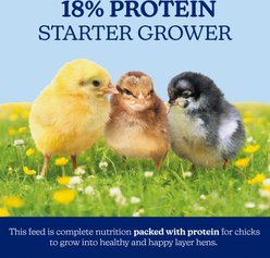 Nutrena NatureWise Chick Starter Grower 18% Protein Crumble Chicken Feed, 40-lb bag slide 2 of 8