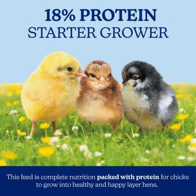 Show full view: Nutrena NatureWise Chick Starter Grower 18% Protein Crumble Chicken Feed, 40-lb bag slide 3 of 11