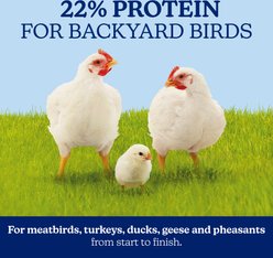 Nutrena NatureWise Meat Bird 22% CR Farm Feed, 40-lb bag slide 2 of 8