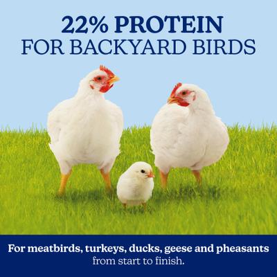 Show full view: Nutrena NatureWise Meat Bird 22% CR Farm Feed, 40-lb bag slide 3 of 11