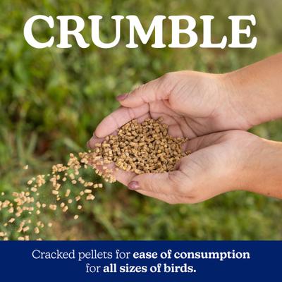 Show full view: Nutrena NatureWise Meat Bird 22% CR Farm Feed, 40-lb bag slide 5 of 11