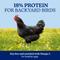 Show in main carousel: Nutrena NatureWise Hearty Hen Soy-Free 18% Protein Pellet Chicken Feed, 40-lb bag slide 3 of 11