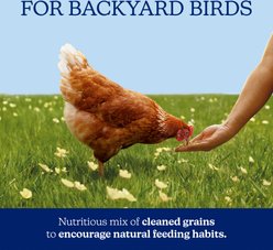 Nutrena NatureWise Chicken 7.5% Protein Scratch Grains, 40-lb bag slide 2 of 8