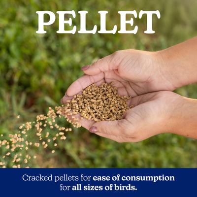 Show full view: Nutrena NatureWise All Flock 20% Protein Pellet Chicken Feed, 40-lb bag slide 5 of 11