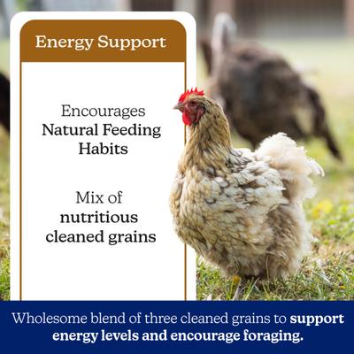 Show full view: Nutrena NatureWise Chicken 7.5% Protein Scratch Grains, 40-lb bag slide 4 of 11