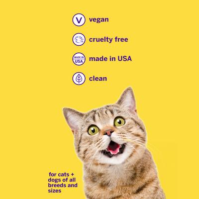 Show full view: Petsmile Professional Natural London Broil Flavor Dog Toothpaste, 4.2-oz tube slide 6 of 8