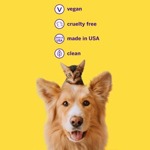 Petsmile Professional Natural London Broil Flavor Dog Toothpaste, 2.5-oz tube