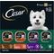 Show in main carousel: Iams Proactive Health Large Breed Real Chicken Adult Dry Food + Cesar Poultry Variety Pack Real Chicken, Turkey & Duck Wet Dog Food slide 6 of 9