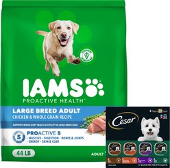 Iams Proactive Health Large Breed Real Chicken Adult Dry Food + Cesar Poultry Variety Pack Real Chicken, Turkey & Duck Wet Dog Food