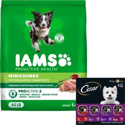 Iams Proactive Health MiniChunks Small Kibble Chicken & Whole Grain Dry Food + Cesar Classic Loaf in Sauce Beef Recipe, Filet Mignon, Grilled Chicken, & Porterhouse Steak Flavors Variety Pack Wet Dog Food