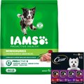 Bundle: Iams Proactive Health MiniChunks Small Kibble Chicken & Whole Grain Dry Food + Cesar Classic Lo...