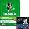 Show in main carousel: Iams Proactive Health MiniChunks Small Kibble Chicken & Whole Grain Dry Food + Cesar Filets in Gravy Beef Flavors Variety Pack Wet Dog Food slide 1 of 9