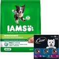 Bundle: Iams Proactive Health MiniChunks Small Kibble Chicken & Whole Grain Dry Food + Cesar Filets in ...