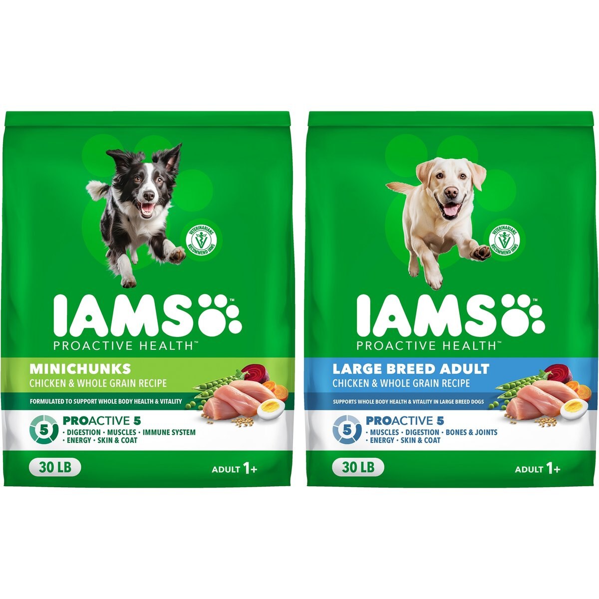 Iams MiniChunks Small Kibble + Large Breed Real Chicken Dry Dog Food