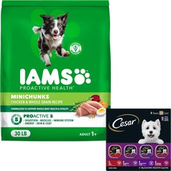 Cesar Classic Loaf in Sauce Beef Recipe, Filet Mignon, Grilled Chicken, & Porterhouse Steak Flavors Variety Pack Food Trays + Iams MiniChunks Small Kibble Dry Dog Food