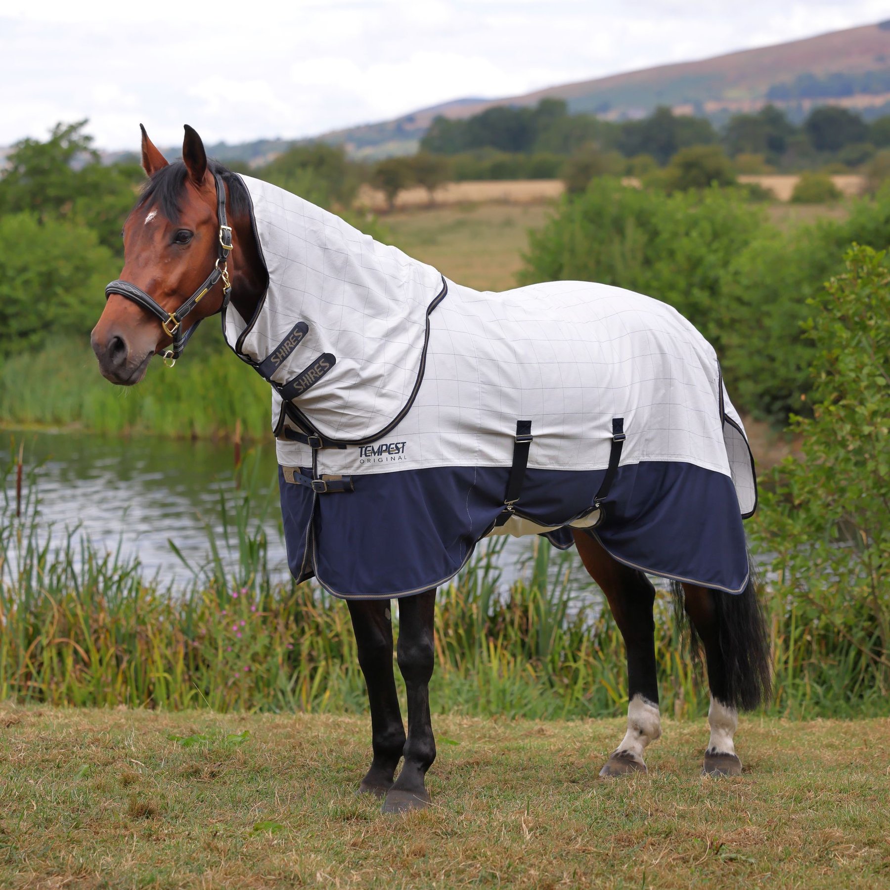 Shires Equestrian Products Tempest Original Summer Horse Shield Set, White, 75-in