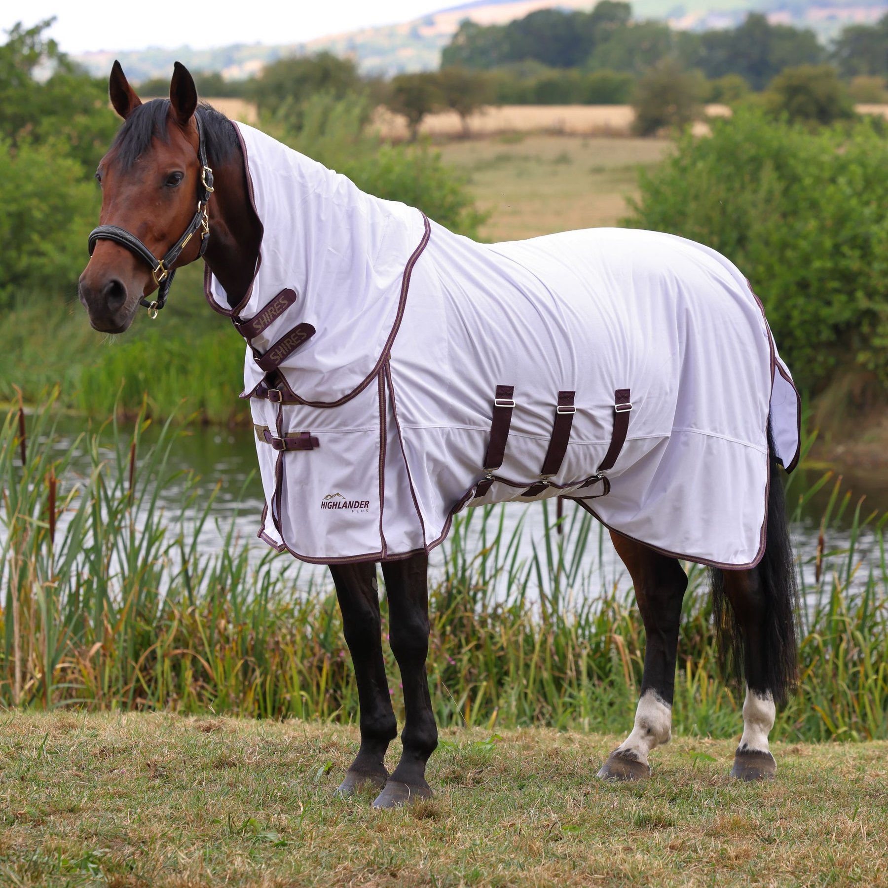 Shires Equestrian Products Highlander Plus Horse Fly Sheet & Neck Set, White, 72-in