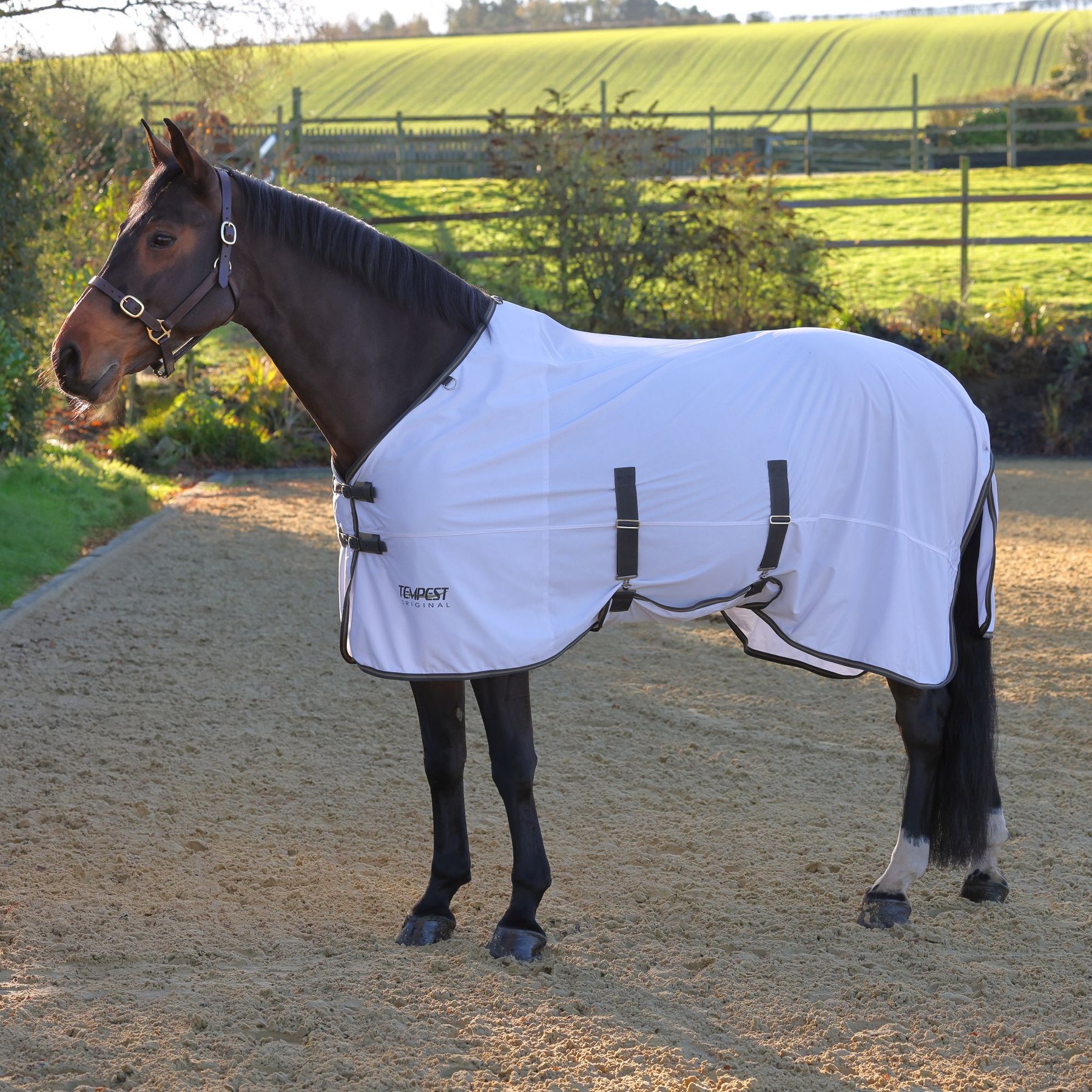 Shires Equestrian Products Tempest Original Standard Neck Horse Fly Sheet, White, 51-in