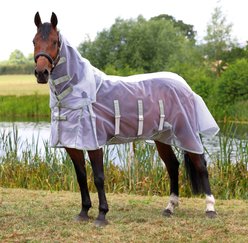 Shires Equestrian Products Highlander Fine Mesh Horse Fly Sheet/Neck Set, White/Sage, 81-in