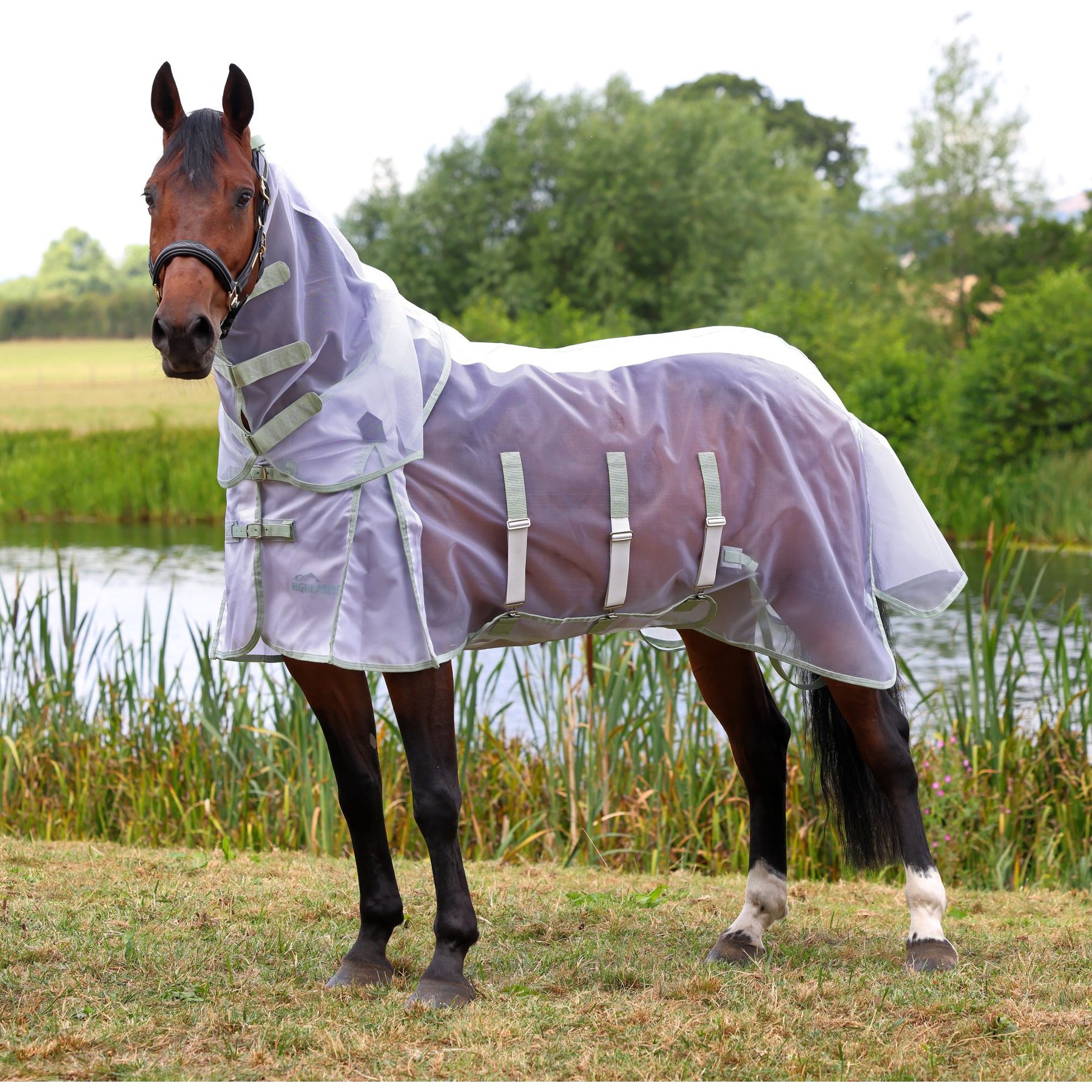 Shires Equestrian Products Highlander Fine Mesh Horse Fly Sheet/Neck Set, White/Sage, 75-in