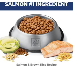 Hill's Science Diet Puppy Sensitive Stomach & Sensitive Skin Salmon & Brown Rice Recipe Dry Dog Food, 13-lb bag