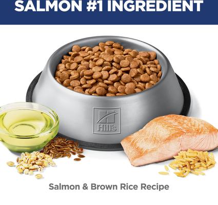 Show full view: Hill's Science Diet Puppy Sensitive Stomach & Sensitive Skin Salmon & Brown Rice Recipe Dry Dog Food, 13-lb bag slide 7 of 12