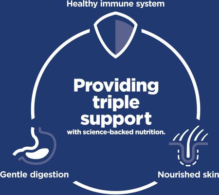 Show full view: Hill's Science Diet Kitten Sensitive Stomach & Sensitive Skin Salmon & Brown Rice Recipe Dry Cat Food, 3.5-lb bag slide 4 of 12