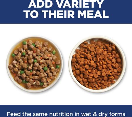 Show full view: Hill's Science Diet Kitten Sensitive Stomach & Sensitive Skin Salmon & Brown Rice Recipe Dry Cat Food, 3.5-lb bag slide 9 of 12