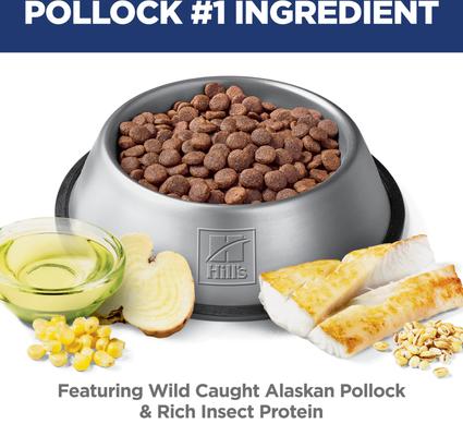 Show full view: Hill's Science Diet Adult Sensitive Stomach & Sensitive Skin Pollock Meal, Barley & Insect Meal Recipe Dry Dog Food, 3.5-lb bag slide 7 of 12