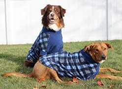 Doggie Design Highline Fleece Vest Dog Coat, Blue Plaid, Size 24 slide 2 of 5