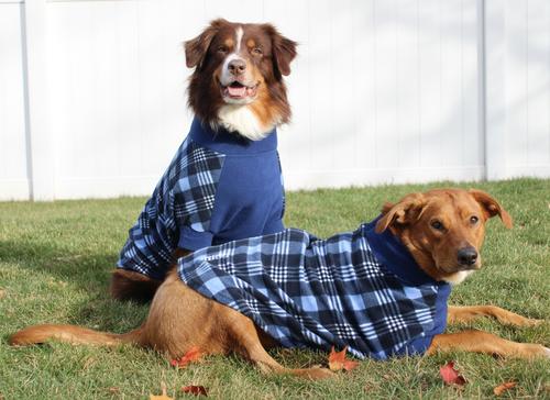 Show full view: Doggie Design Highline Fleece Vest Dog Coat, Blue Plaid, Size 26 slide 3 of 5